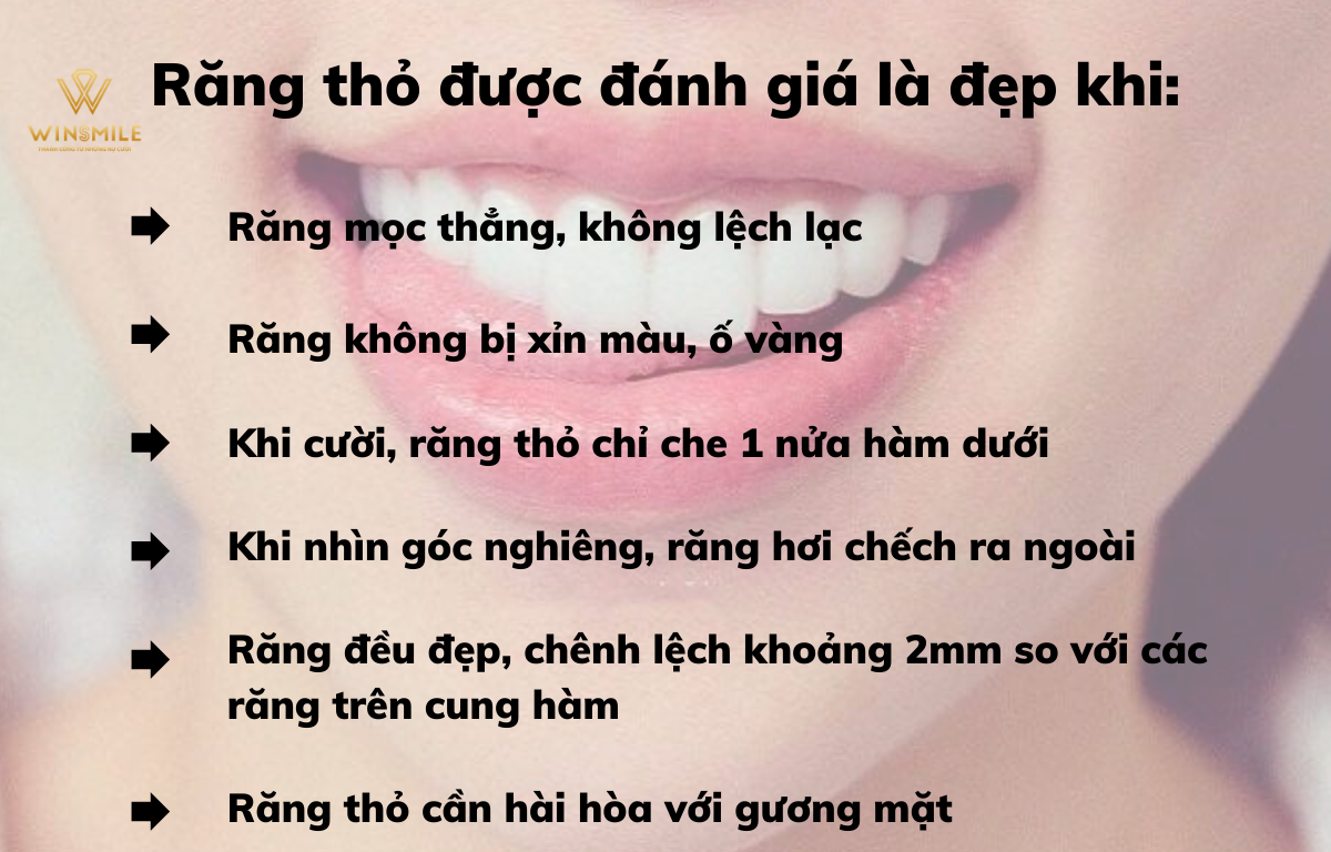 Các yếu tố đánh giá 1 răng thỏ đẹp